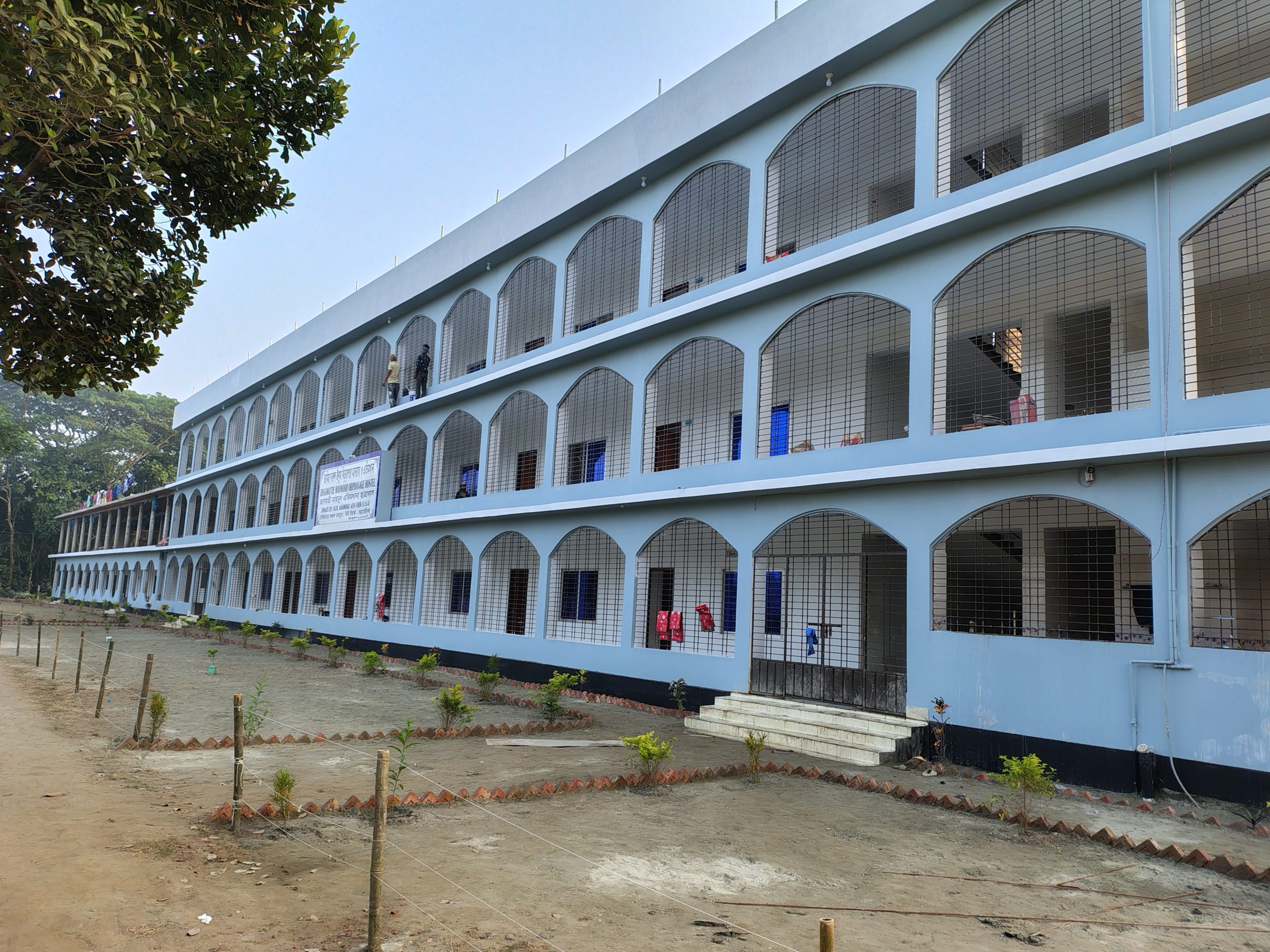 জামিয়ার ছবি